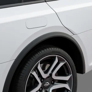 طوقه عقب ماشین-سالوک